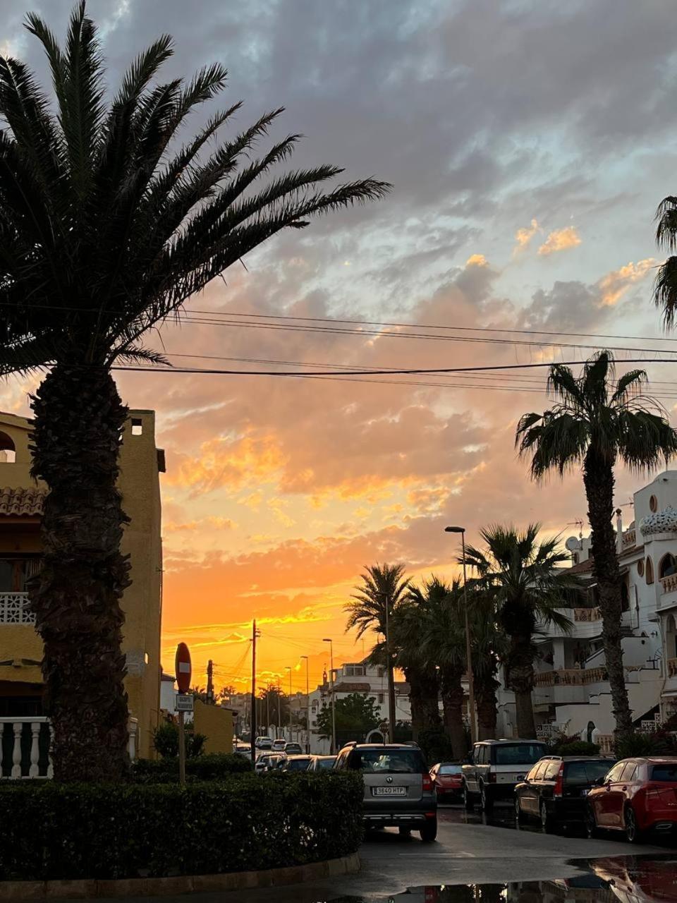 Solymar Torreviejaアパートメント エクステリア 写真